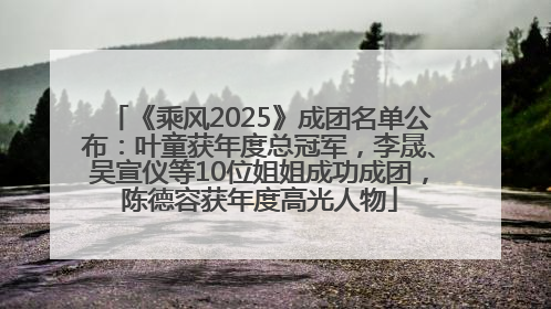 《乘风2025》成团名单公布：叶童获年度总冠军，李晟、吴宣仪等10位姐姐成功成团，陈德容获年度高光人物