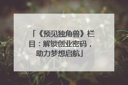 《预见独角兽》栏目：解锁创业密码，助力梦想启航