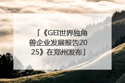 《GEI世界独角兽企业发展报告2025》在郑州发布