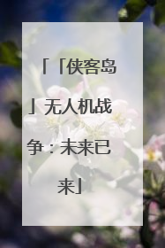 「侠客岛」无人机战争：未来已来