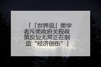 「世界说」美学者斥美政府关税政策反复无常正在制造“经济创伤”