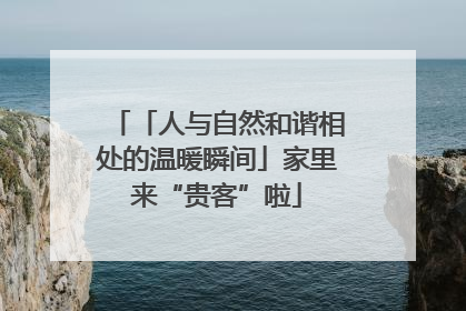 「人与自然和谐相处的温暖瞬间」家里来“贵客”啦