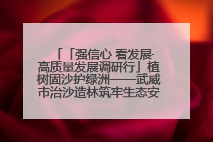 「强信心 看发展·高质量发展调研行」植树固沙护绿洲——武威市治沙造林筑牢生态安全屏障见闻