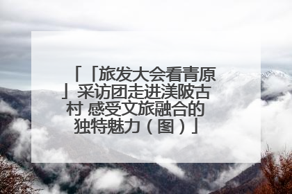 「旅发大会看青原」采访团走进渼陂古村 感受文旅融合的独特魅力（图）