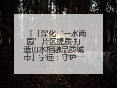 「深化‘一水两园’片区提质·打造山水相融品质城市」宁远：守护一江碧水 共享幸福河湖