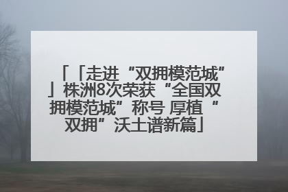 「走进“双拥模范城”」株洲8次荣获“全国双拥模范城”称号 厚植“双拥”沃土谱新篇