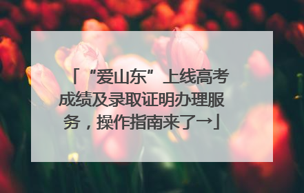 “爱山东”上线高考成绩及录取证明办理服务，操作指南来了→