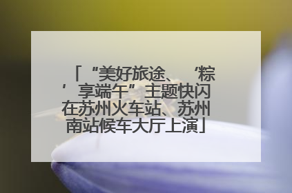 “美好旅途、‘粽’享端午”主题快闪在苏州火车站、苏州南站候车大厅上演