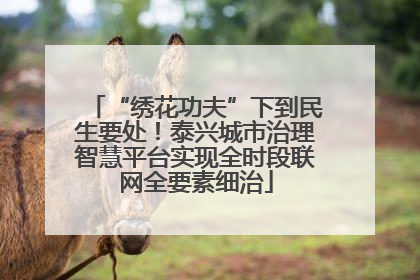 “绣花功夫”下到民生要处！泰兴城市治理智慧平台实现全时段联网全要素细治