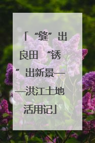 “缝”出良田 “锈”出新景——洪江土地活用记