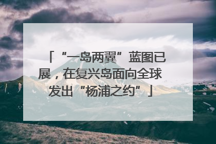 “一岛两翼”蓝图已展，在复兴岛面向全球发出“杨浦之约”