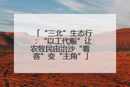“三北”生态行：“以工代赈”让农牧民由治沙“看客”变“主角”