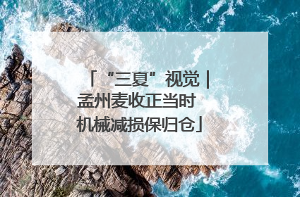 “三夏”视觉｜孟州麦收正当时 机械减损保归仓