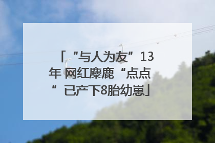 “与人为友”13年 网红麋鹿“点点”已产下8胎幼崽