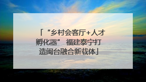 “乡村会客厅+人才孵化器” 福建泰宁打造闽台融合新载体