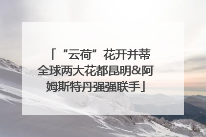 “云荷”花开并蒂 全球两大花都昆明&阿姆斯特丹强强联手