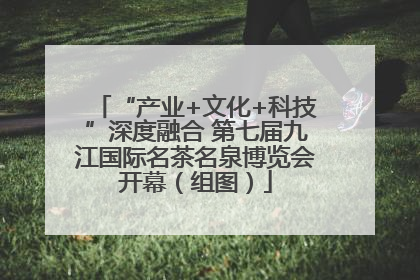 “产业+文化+科技”深度融合 第七届九江国际名茶名泉博览会开幕（组图）