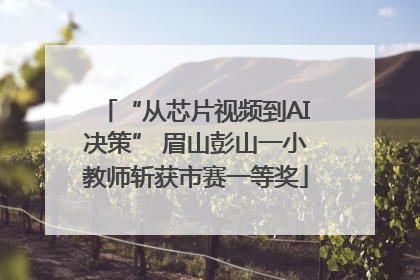 “从芯片视频到AI决策” 眉山彭山一小教师斩获市赛一等奖
