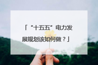 “十五五”电力发展规划该如何做？