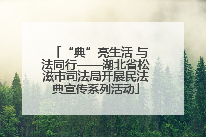 “典”亮生活 与法同行——湖北省松滋市司法局开展民法典宣传系列活动