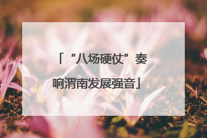“八场硬仗”奏响渭南发展强音