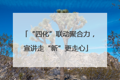 “四化”联动聚合力，宣讲走“新”更走心