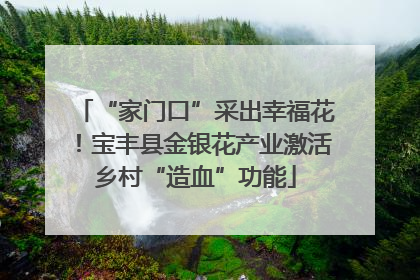 “家门口”采出幸福花！宝丰县金银花产业激活乡村“造血”功能