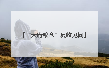 “天府粮仓”夏收见闻