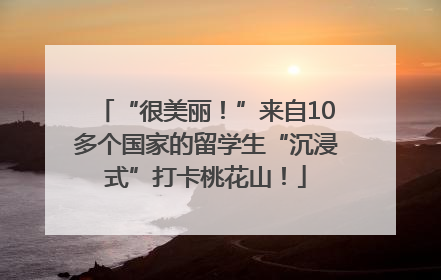 “很美丽！”来自10多个国家的留学生“沉浸式”打卡桃花山！