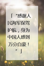 “感谢人民海军保驾护航，身为中国人感到万分自豪！”