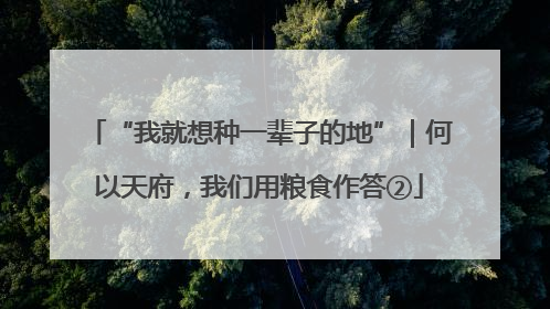 “我就想种一辈子的地”｜何以天府，我们用粮食作答②