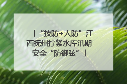 “技防+人防”江西抚州拧紧水库汛期安全“防御弦”