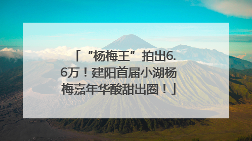 “杨梅王”拍出6.6万！建阳首届小湖杨梅嘉年华酸甜出圈！