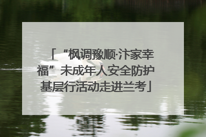 “枫调豫顺·汴家幸福”未成年人安全防护基层行活动走进兰考