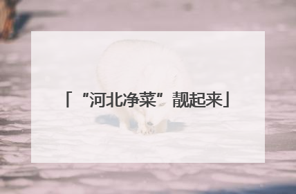 “河北净菜”靓起来