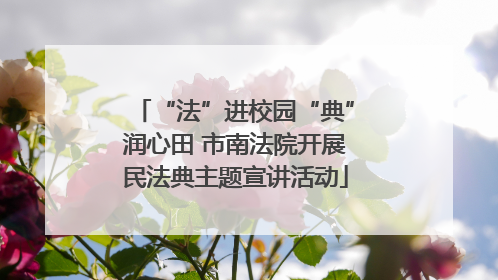 “法”进校园“典”润心田 市南法院开展民法典主题宣讲活动