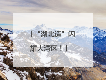 “湖北造”闪耀大湾区！