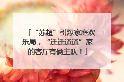 “苏超”引爆家庭欢乐局，“迁迁通通”家的客厅有俩主队！