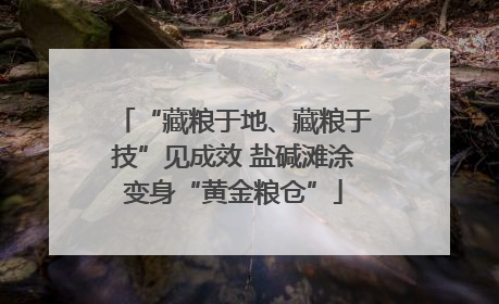 “藏粮于地、藏粮于技”见成效 盐碱滩涂变身“黄金粮仓”