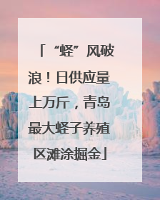 “蛏”风破浪！日供应量上万斤，青岛最大蛏子养殖区滩涂掘金