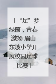 “足”梦绿茵，青春激扬 眉山东坡小学开展校园足球比赛