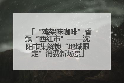 “鸡架味咖啡”香飘“西红市”——沈阳市集解锁“地域限定”消费新场景