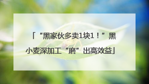 “黑家伙多卖1块1！”黑小麦深加工“磨”出高效益