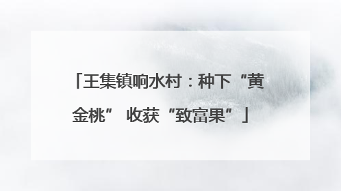 王集镇响水村：种下“黄金桃” 收获“致富果”