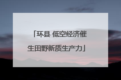 环县 低空经济催生田野新质生产力