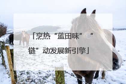 烹热“蓝田味”“链”动发展新引擎