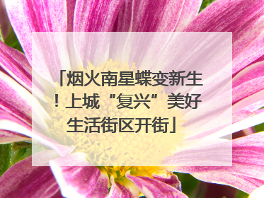 烟火南星蝶变新生！上城“复兴”美好生活街区开街