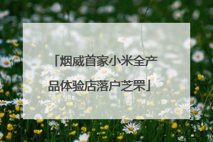 烟威首家小米全产品体验店落户芝罘
