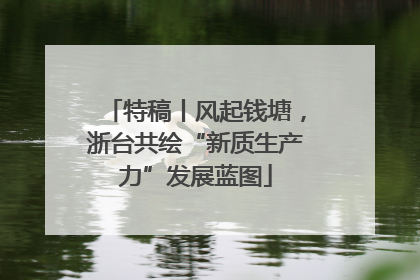 特稿丨风起钱塘，浙台共绘“新质生产力”发展蓝图