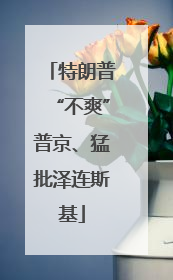 特朗普“不爽”普京、猛批泽连斯基
